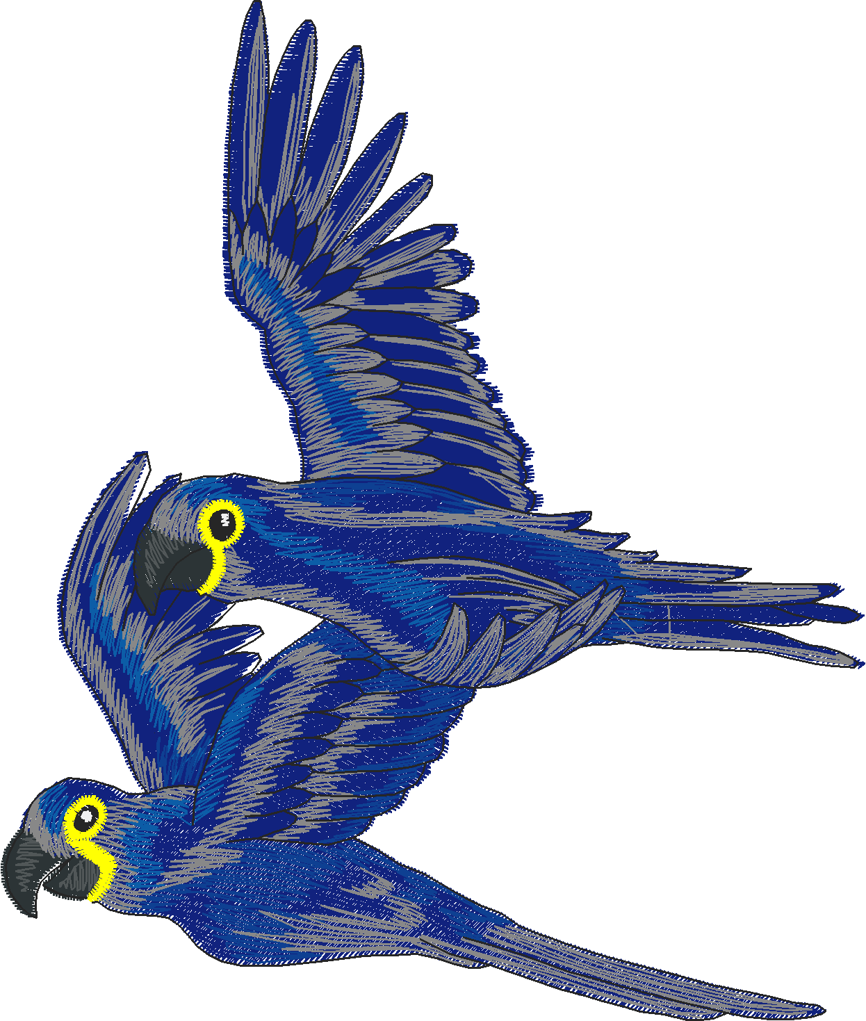 Jumbo   Tropical Birds 1  (5)