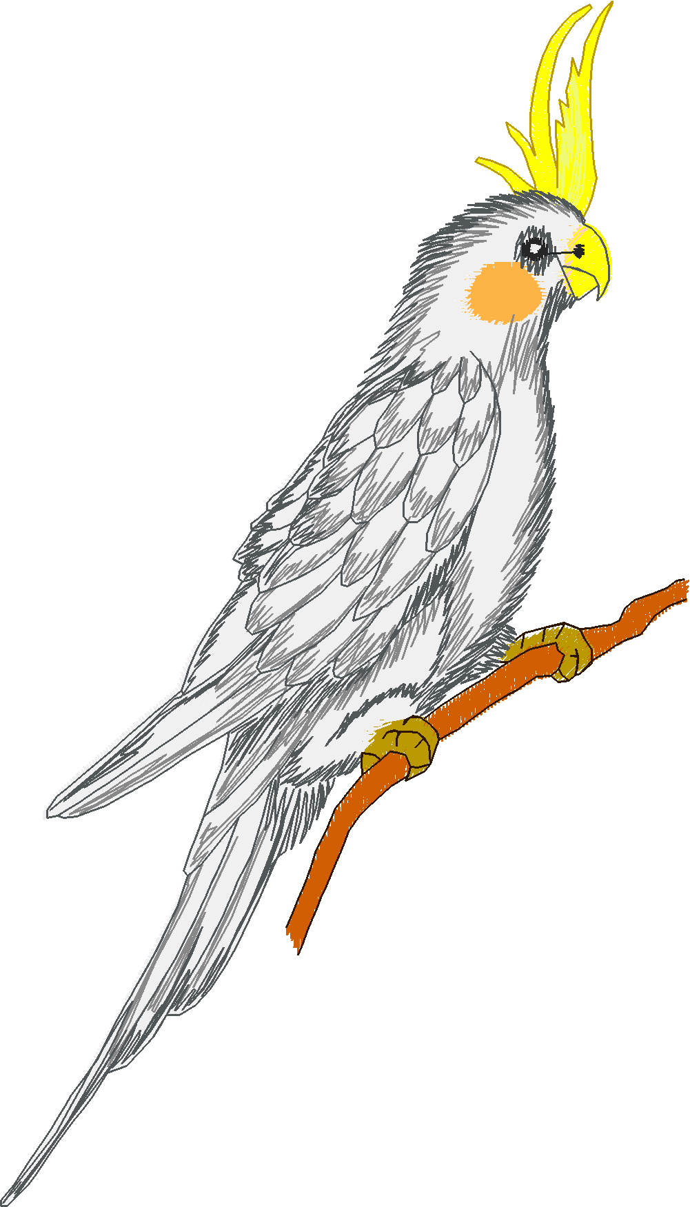 Jumbo   Tropical Birds 1  (7)
