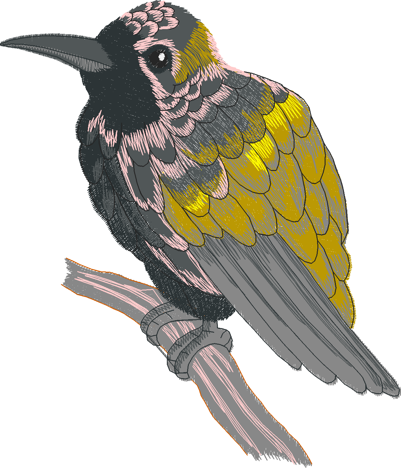 Jumbo   Tropical Birds 1  (8)