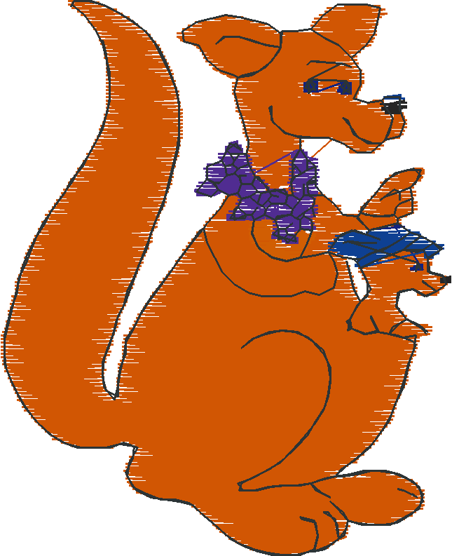 Kangaroos