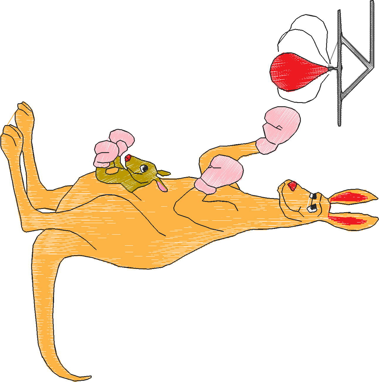 Kangaroos 1 (5)