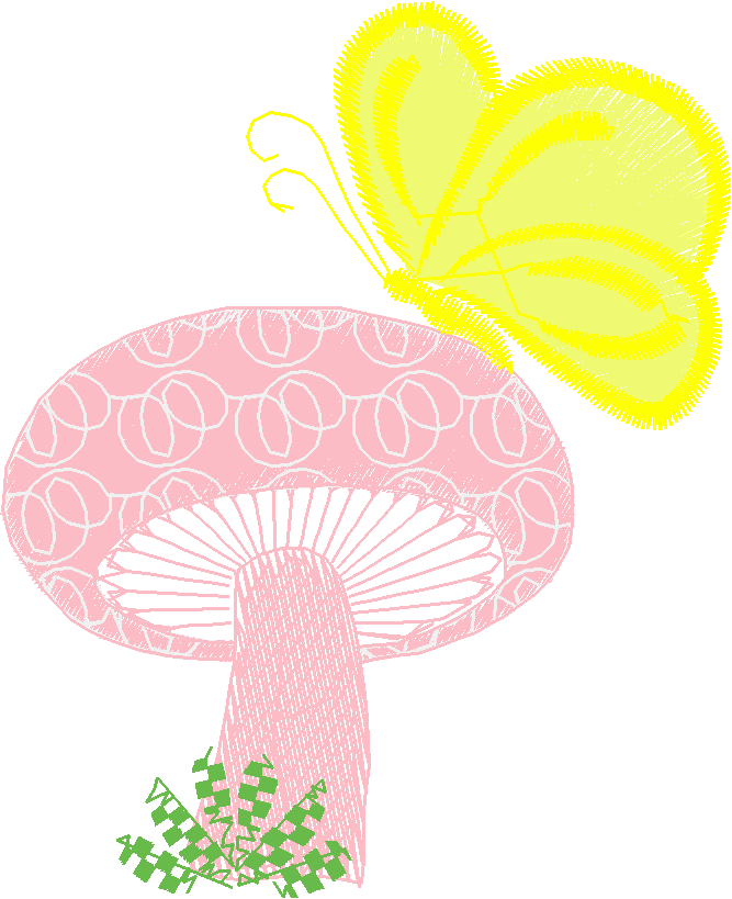 Kids 5  (18)