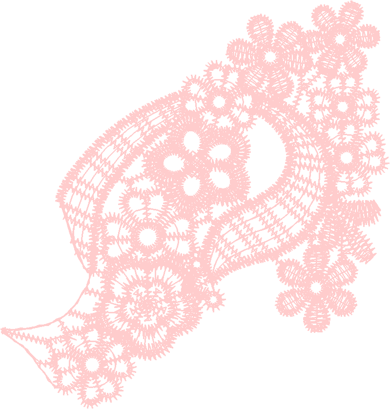 Lace 17   Just Lace 1  (17)