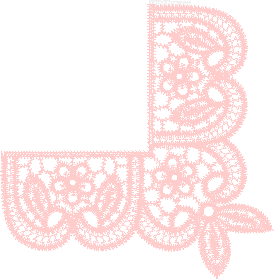 Lace 17   Just Lace 1  (30)