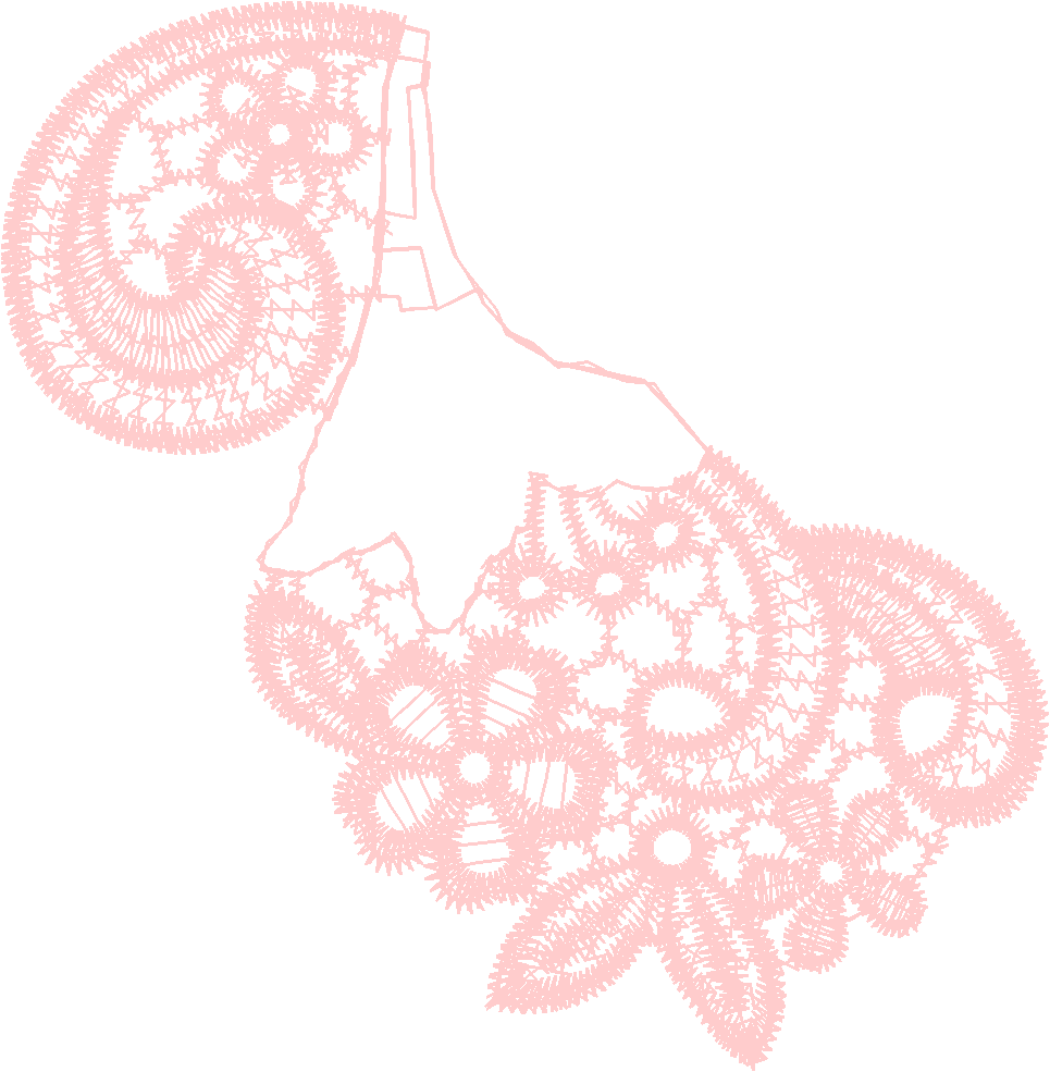 Lace 17   Just Lace 1  (33)