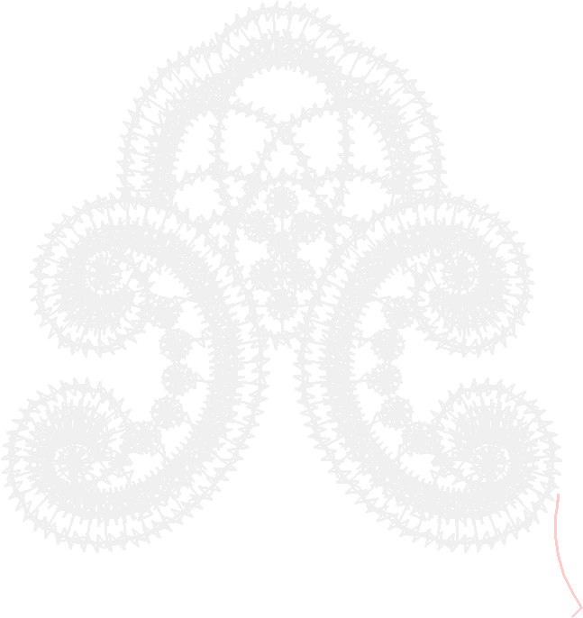 Lace 17   Just Lace 1  (37)