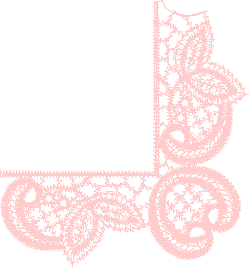 Lace 17   Just Lace 1  (5)