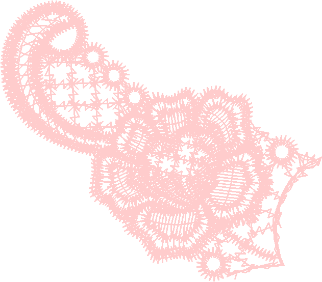 Lace 17   Just Lace 1  (7)