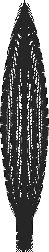 Lace 3   Baskets 2 (8)