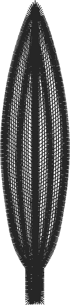 Lace 3   Baskets 2 (9)