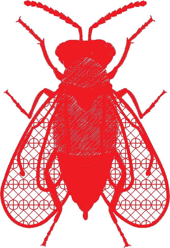 Lace 37   Insects 1  (6)