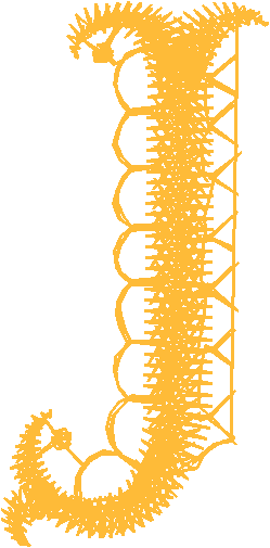 Lace 38   Effects 1  (33)