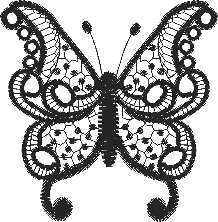 Lace 41  (1)