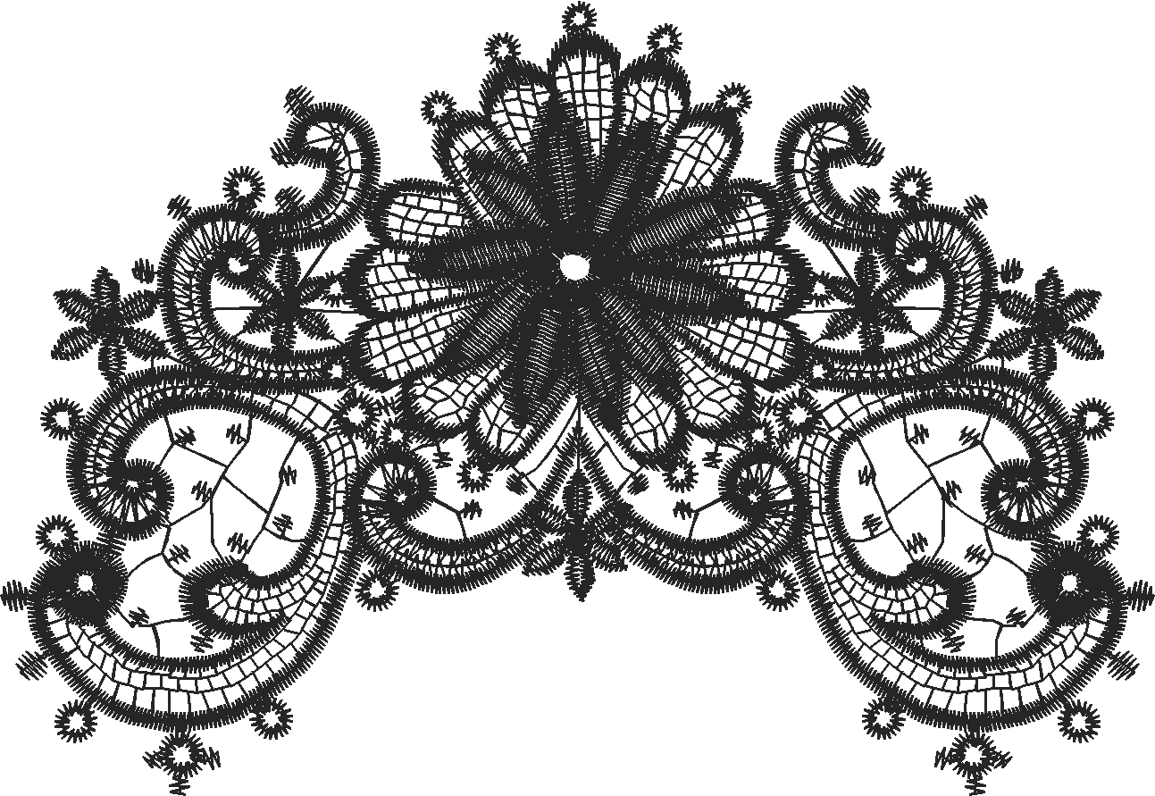 Lace 41  (13)
