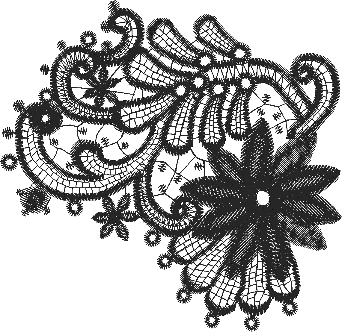 Lace 41  (14)