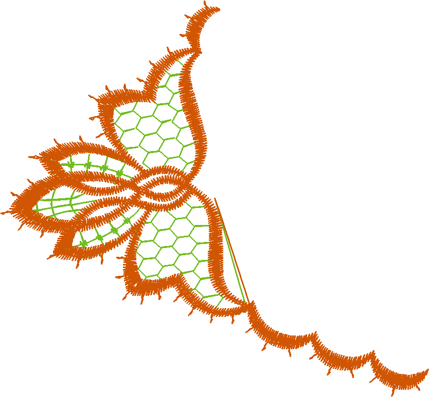 Lace 43 (16)