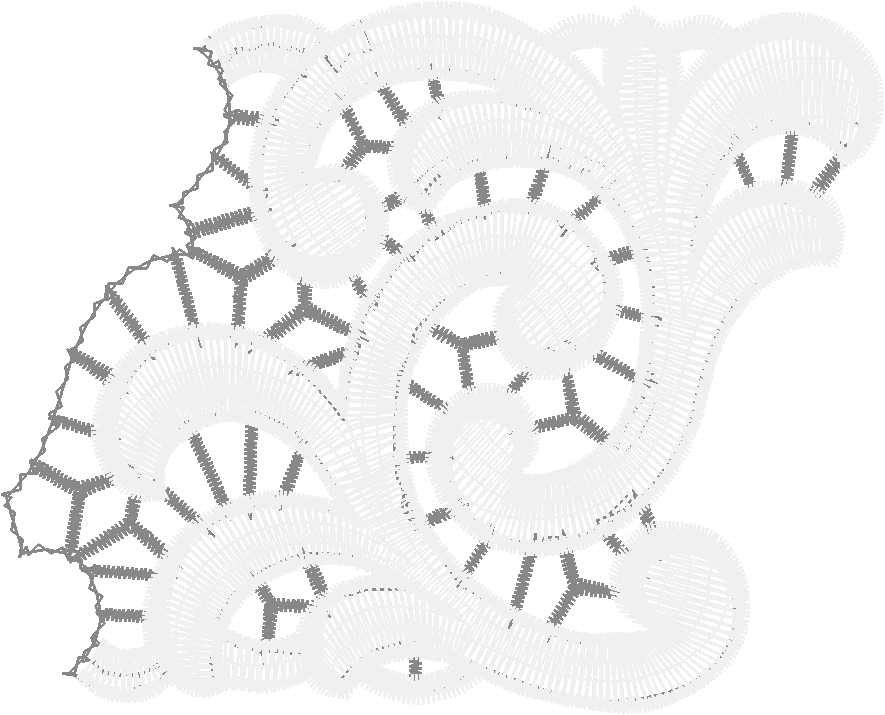 Lace 49  (22)