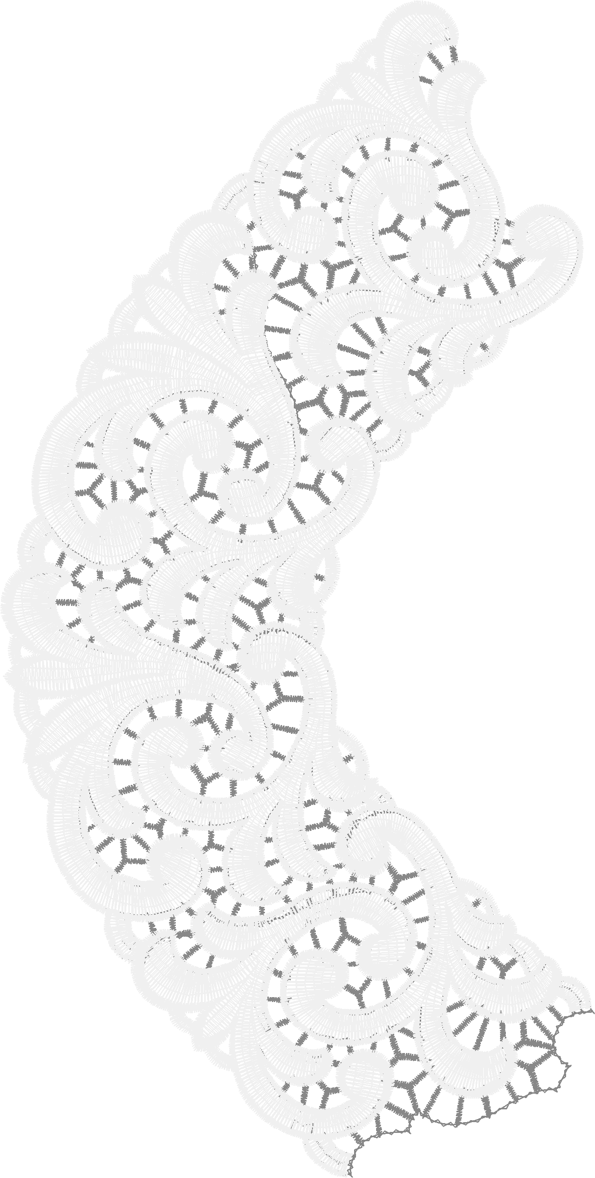 Lace 49  (24)