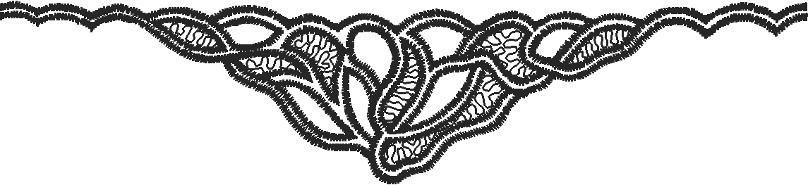 Lace 54  (17)