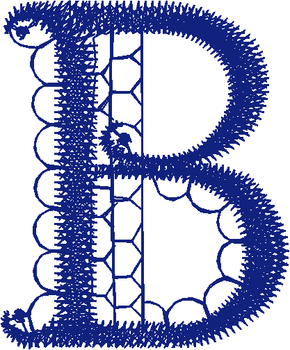 B