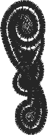 Bod11d 2