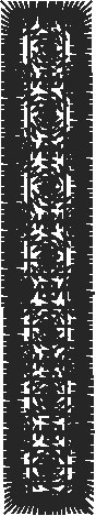 Bod16e 2