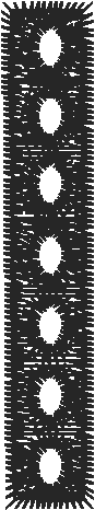 Bod16f 2