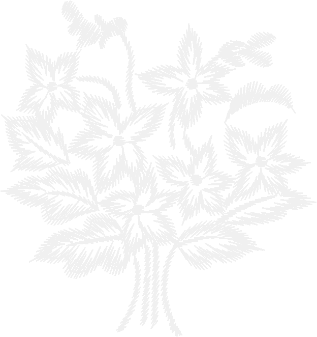 Lace008 2