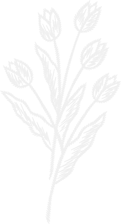 Lace009 2