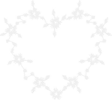Lace024 2