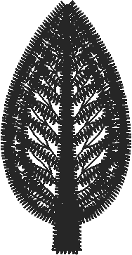 Leaf4