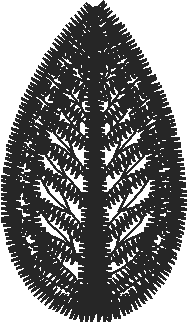 Pnsta1b