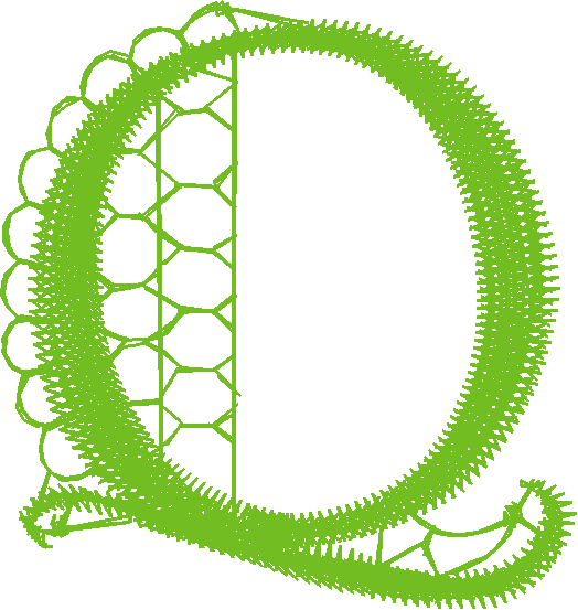 Q