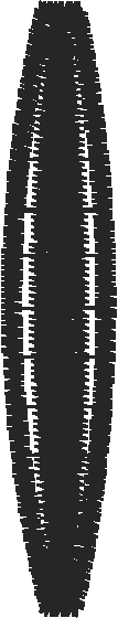 Strap16 2