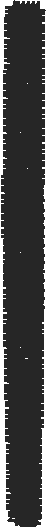 Tiarab11 2