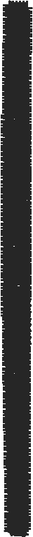 Tiarab16 2