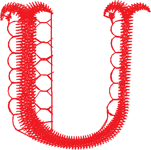 U