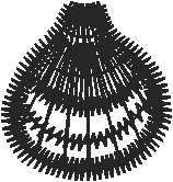 Viola1p