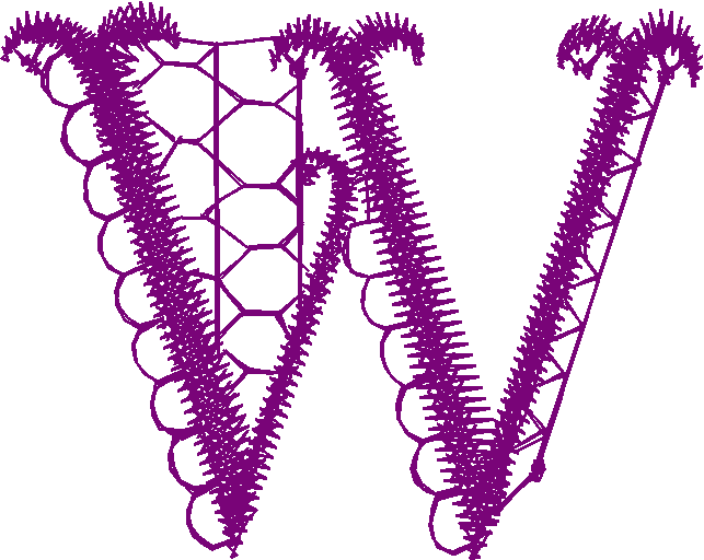 W