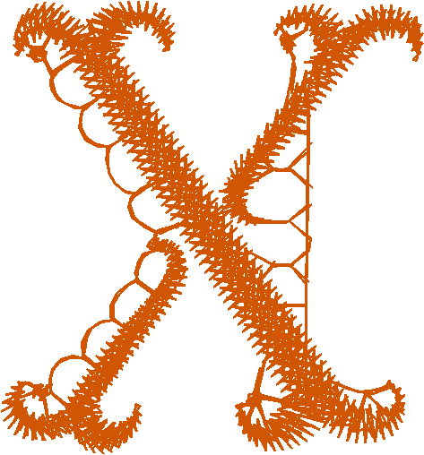 X