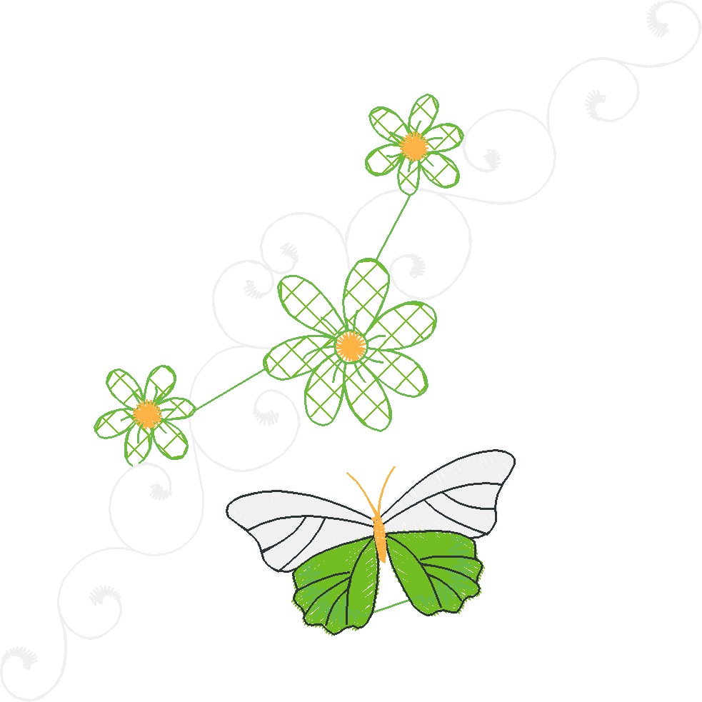 Lacy Daisy