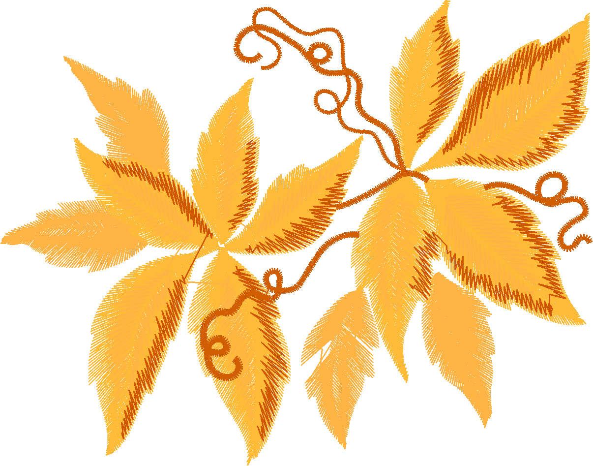 Leaves Collection