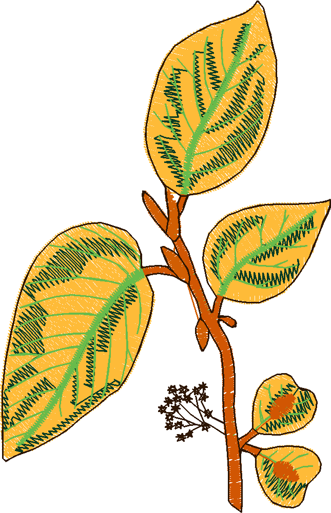 Leaves 2 (4)