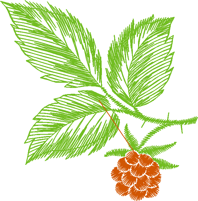 Leaves 3 (1)