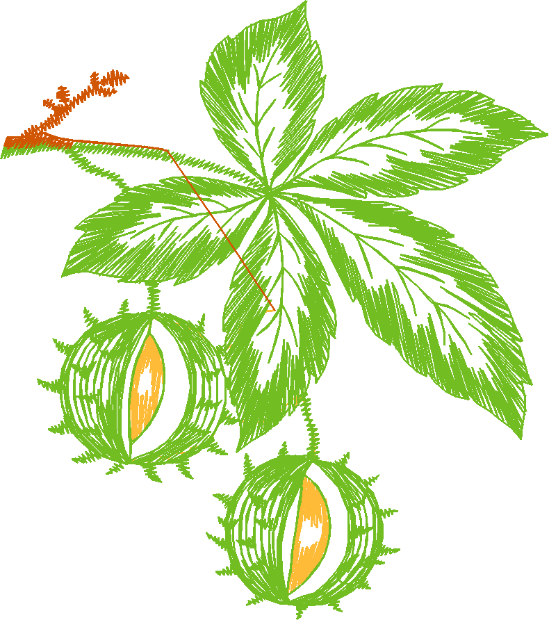 Leaves 3 (9)