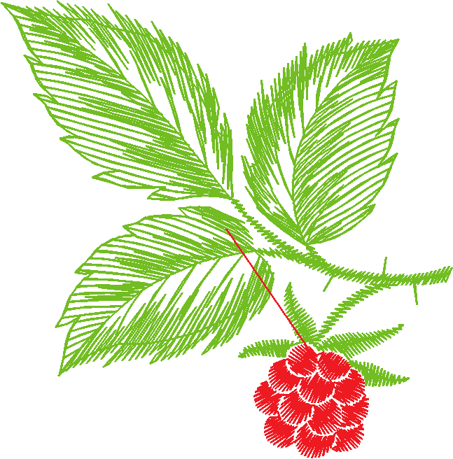 Leaves and Berries