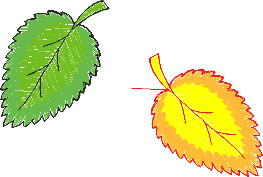 Leaves & Berries 1 (22)