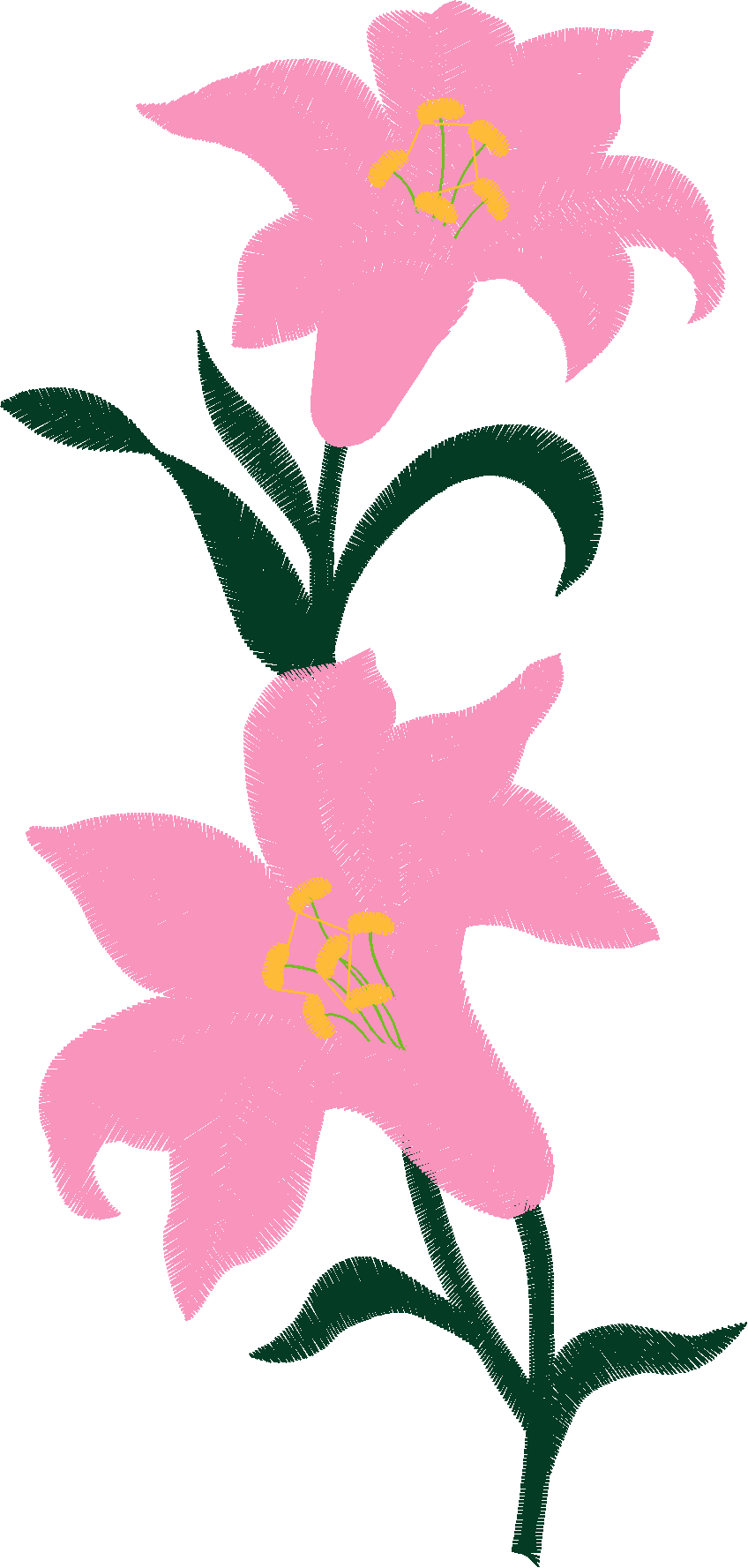 Lillies