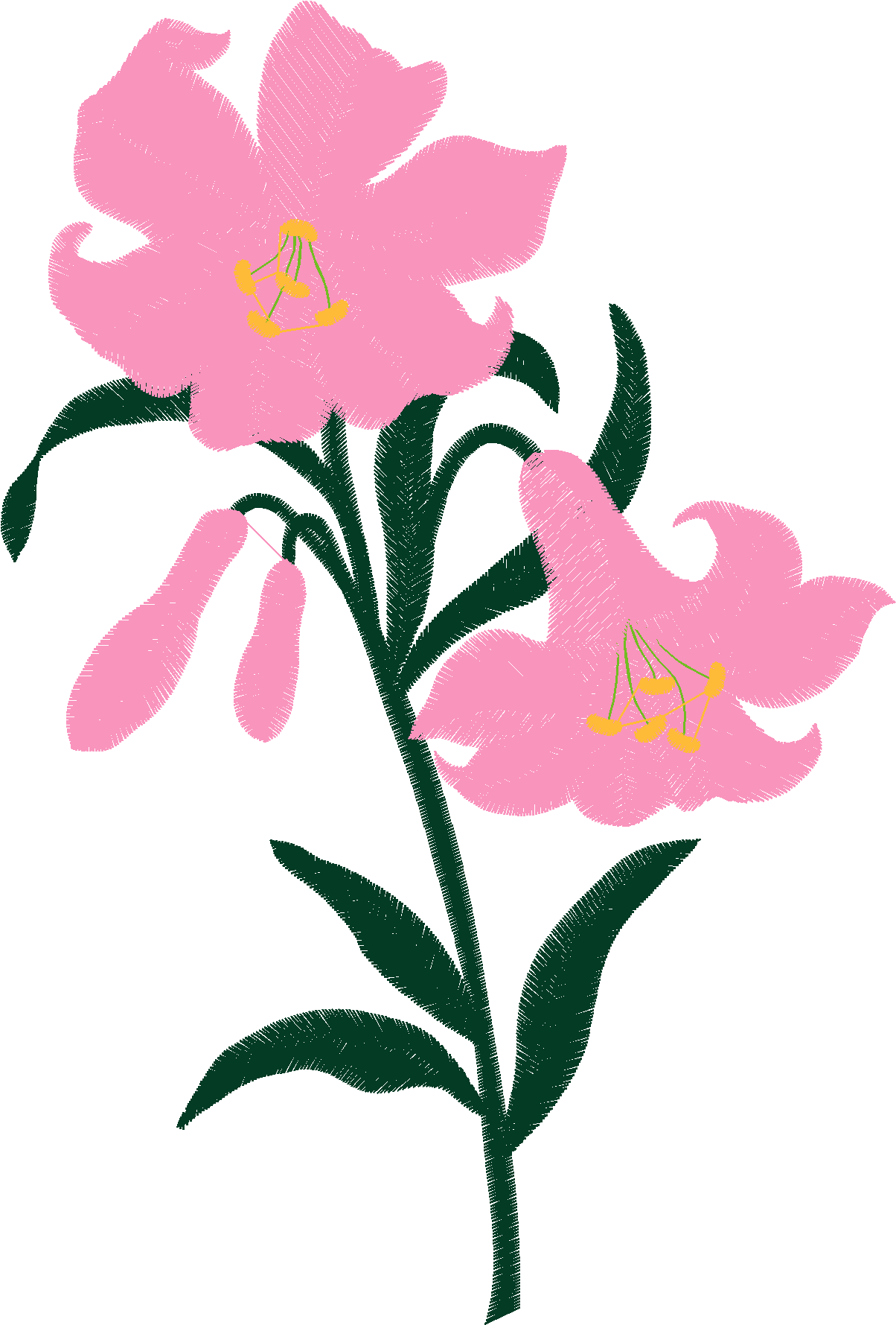 Lillies 1  (2)