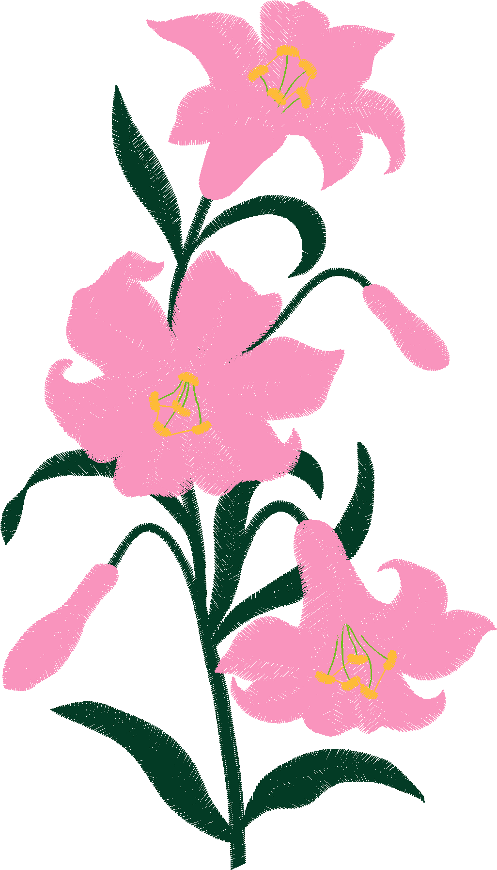 Lillies 1  (3)